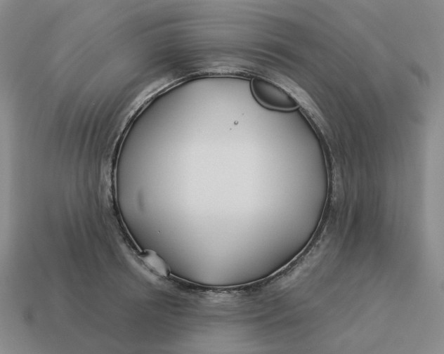 X0000114510850200911091128