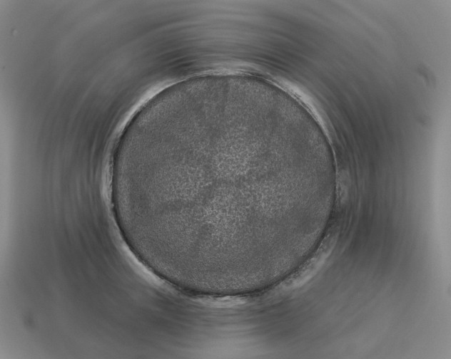 X0000114510851200911091128