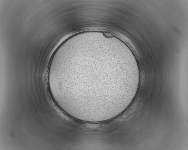 X0000114510852200911091128