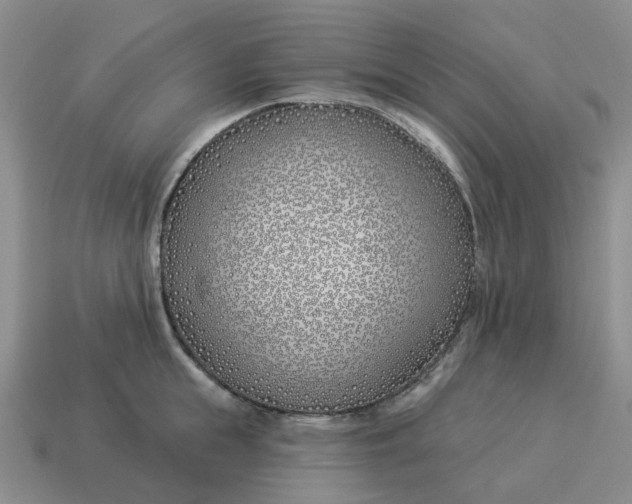 X0000114510855200911091128