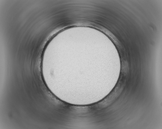 X0000114510856200911091128