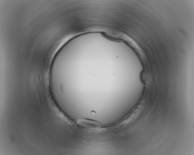 X0000114510860200911091128