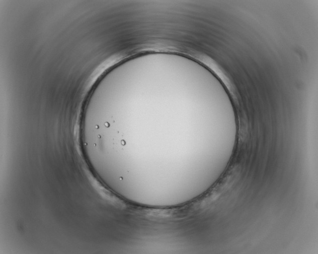 X0000114510861200911091128