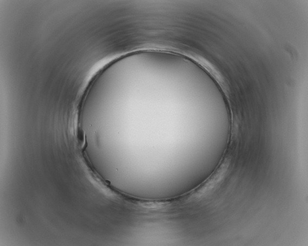 X0000114510862200911091128