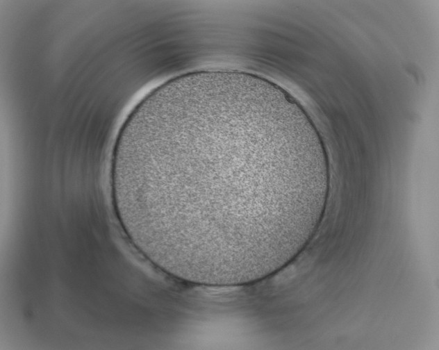 X0000114510864200911091128