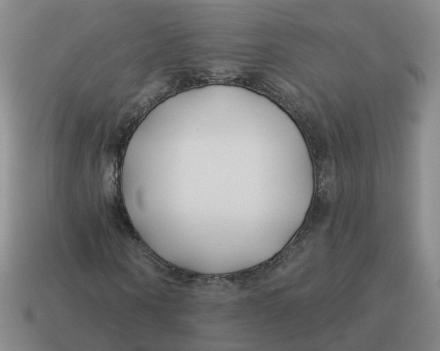 X0000114510866200911091128