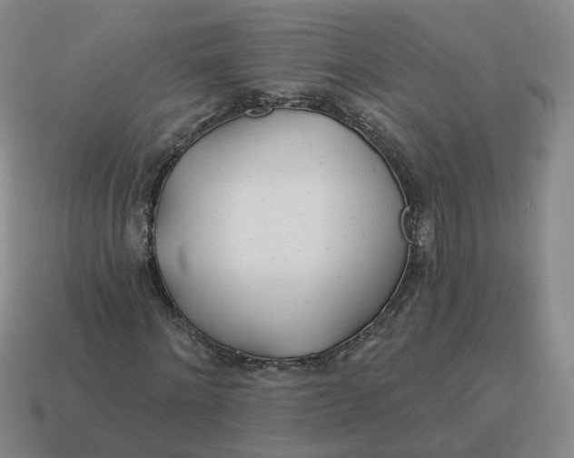 X0000114510868200911091128