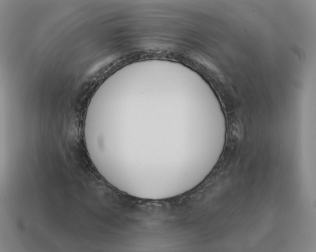 X0000114510869200911091128