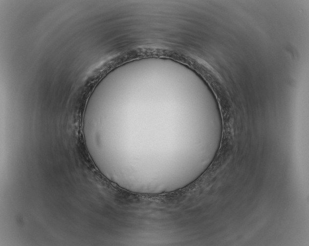 X0000114510870200911091128