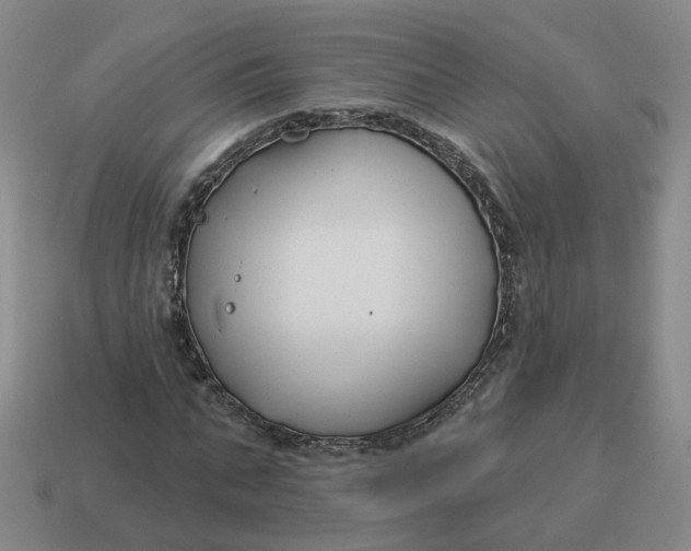 X0000114510871200911091128