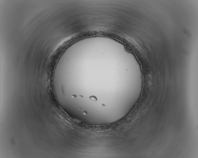 X0000114510872200911091128