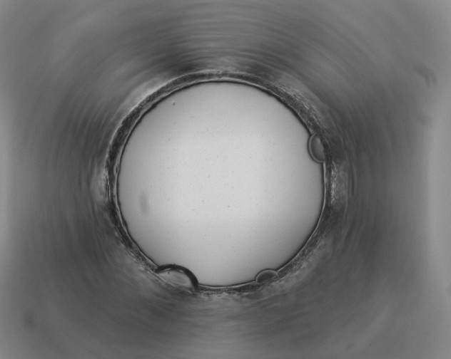 X0000114510876200911091128