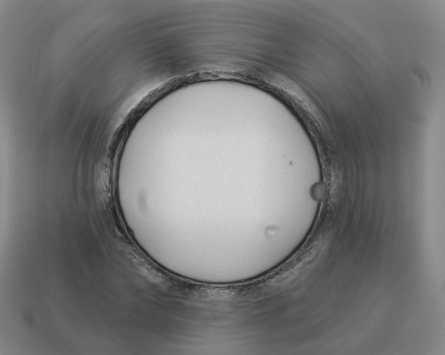 X0000114510878200911091128