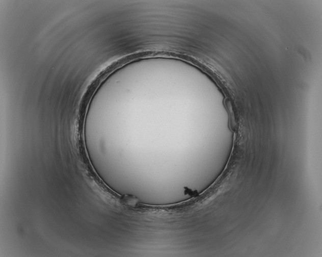 X0000114510880200911091128