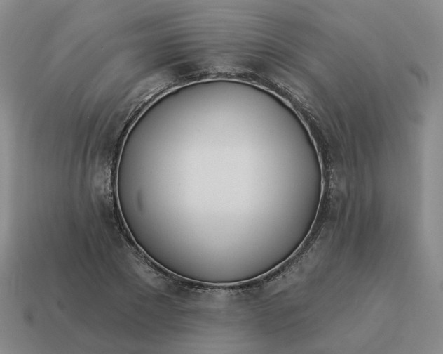 X0000114510881200911091128