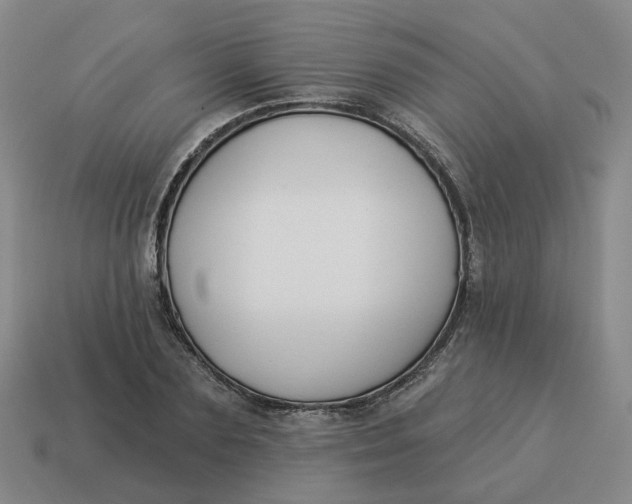 X0000114510883200911091128