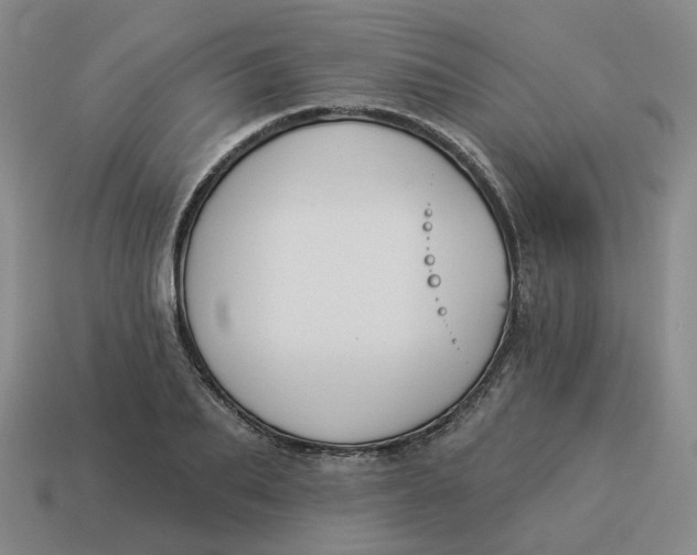 X0000114510887200911091127