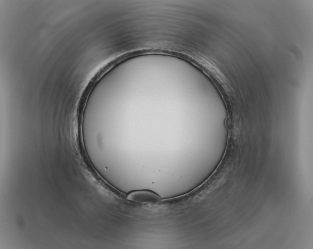 X0000114510888200911091127