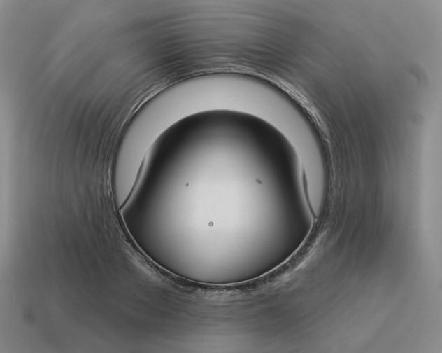 X0000114510889200911091127