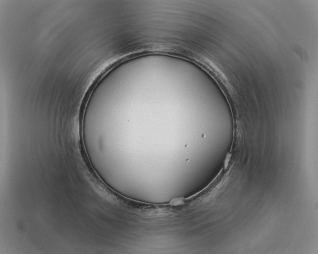 X0000114510891200911091127