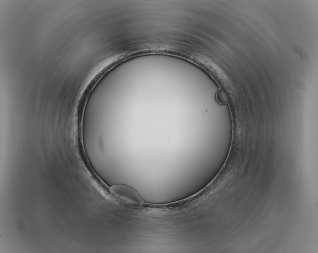 X0000114510894200911091127