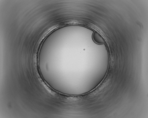 X0000114510898200911091127