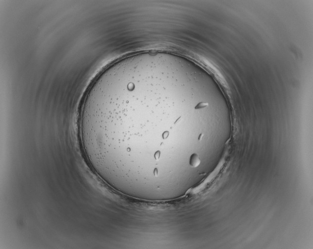 X0000114510899200911091127