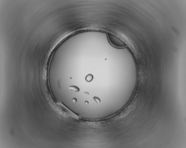 X0000114510900200911091127