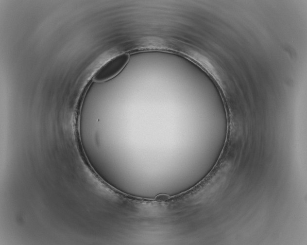 X0000114510901200911091127