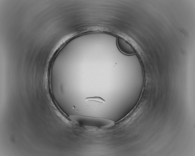 X0000114510902200911091127