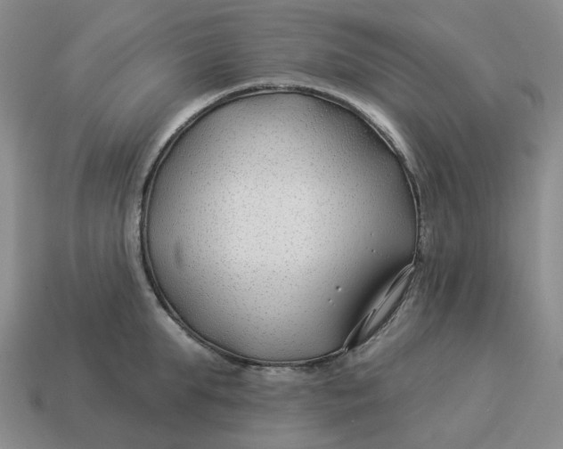 X0000114510903200911091127