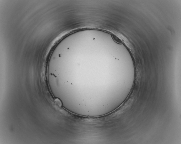 X0000114510904200911091127