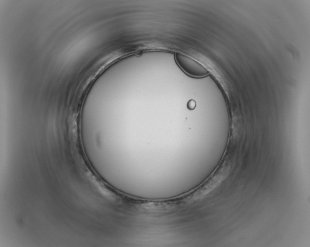 X0000114510906200911091127