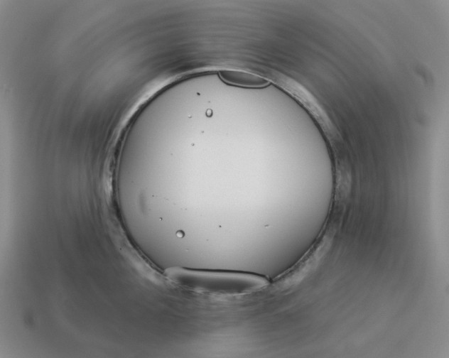 X0000114510908200911091127