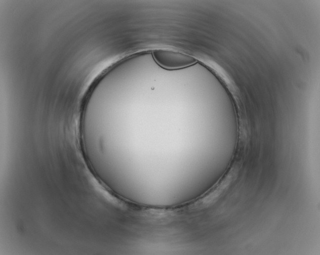 X0000114510910200911091127