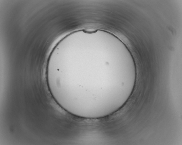 X0000114510912200911091127