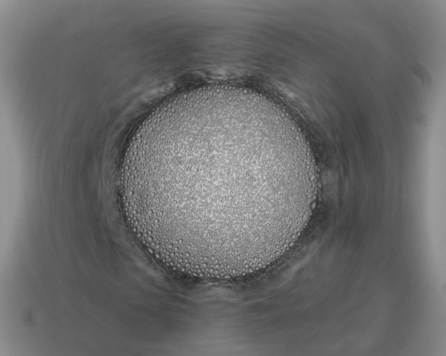 X0000114510913200911091126