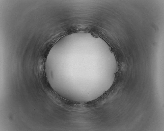 X0000114510914200911091126