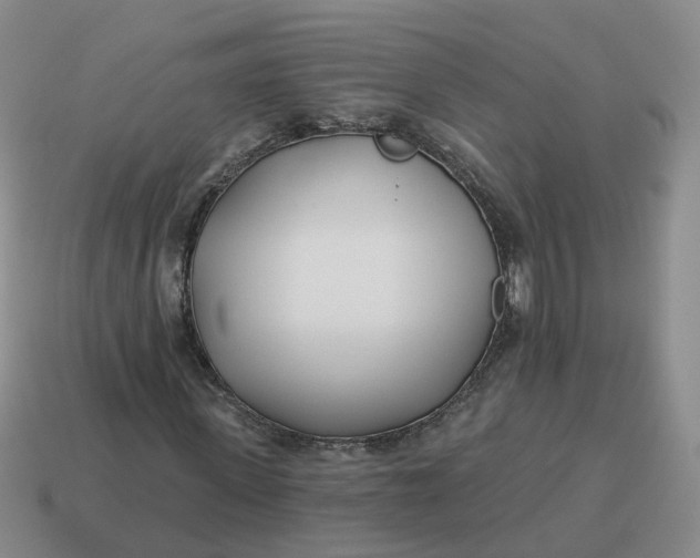 X0000114510915200911091126