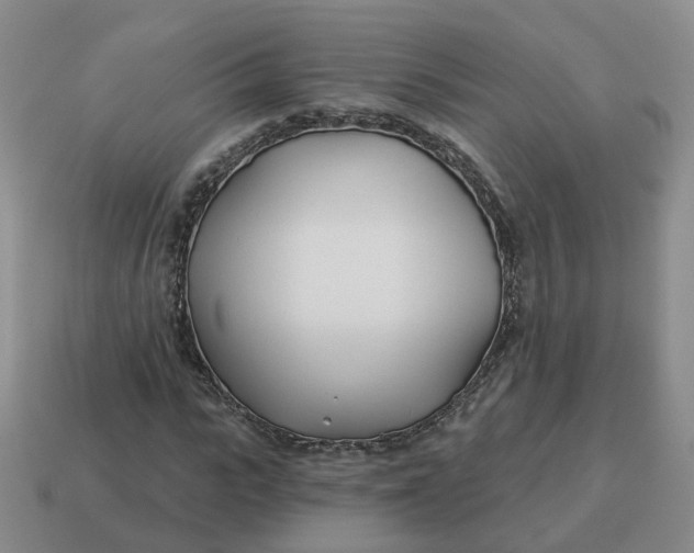 X0000114510919200911091126