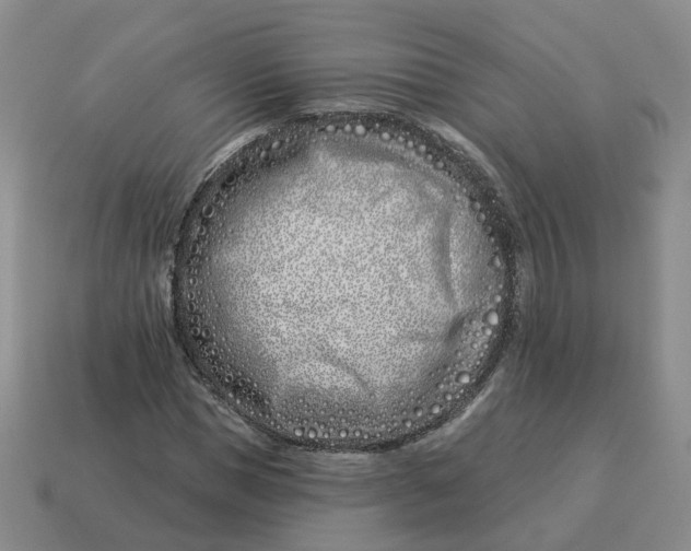 X0000114510921200911091126