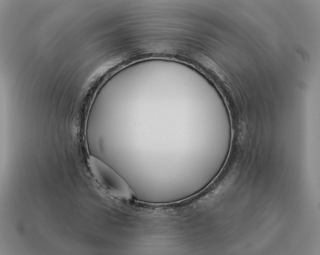 X0000114510922200911091126