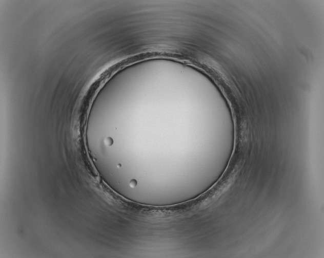 X0000114510923200911091126