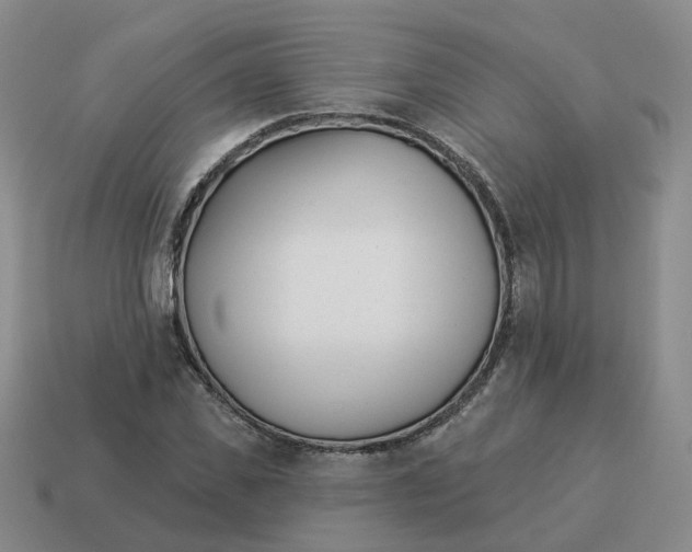 X0000114510925200911091127