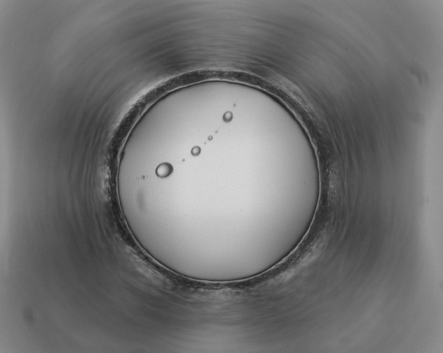 X0000114510926200911091127