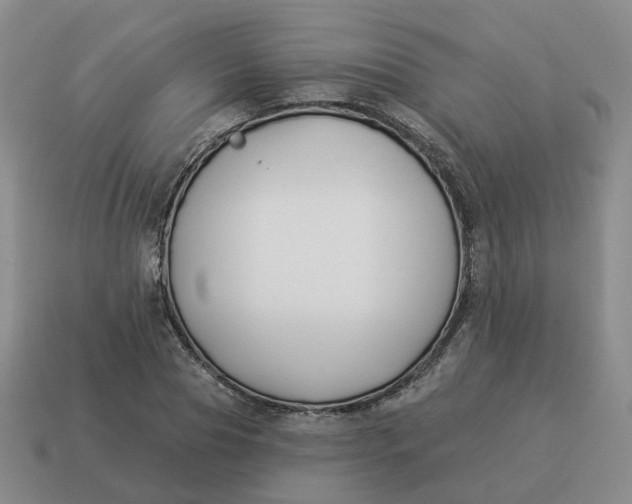 X0000114510929200911091127