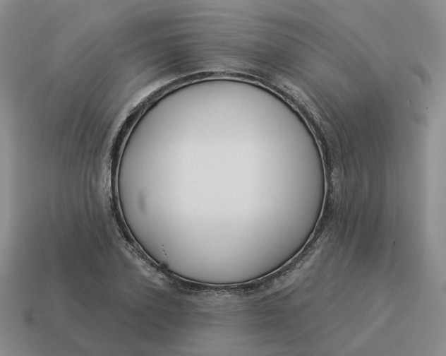 X0000114510931200911091127