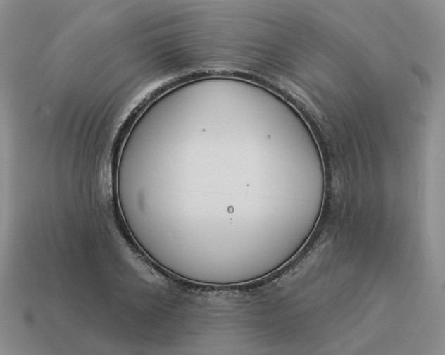 X0000114510934200911091127