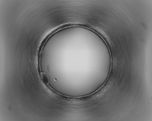 X0000114510935200911091127