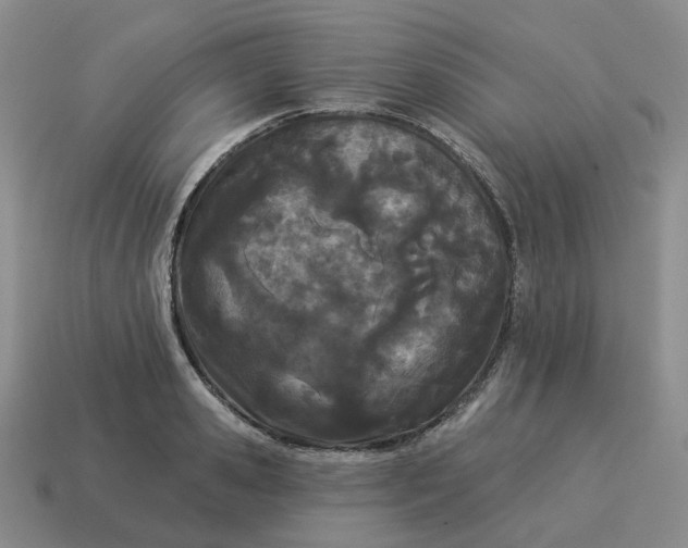 X0000114510941200911091127